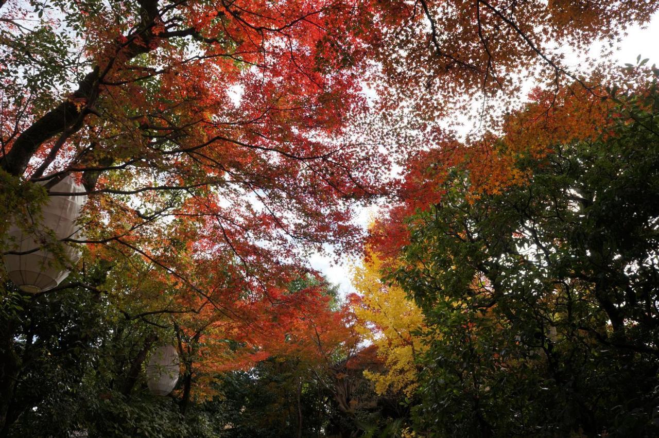 京都市 Suminagi Shinpontochoアパートホテル エクステリア 写真